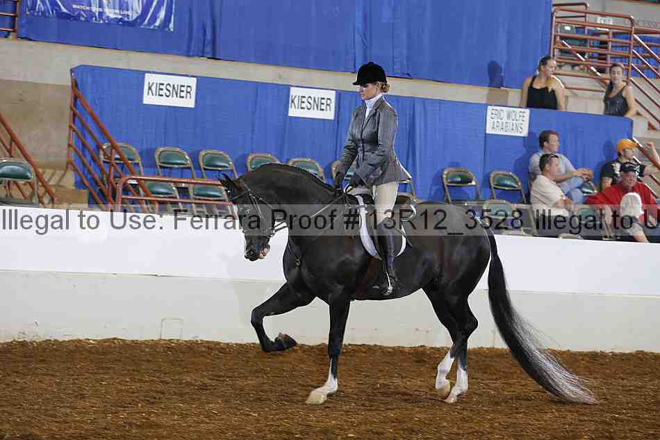 Proof 13r12_3528
