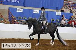 13r12_3528 proof
