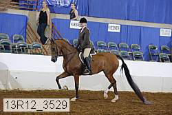 13r12_3529 proof