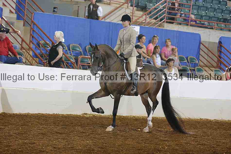 Proof 13r12_3534
