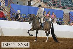 13r12_3534 proof