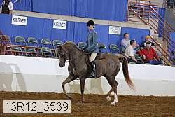 13r12_3539 proof