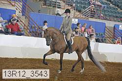 13r12_3543 proof