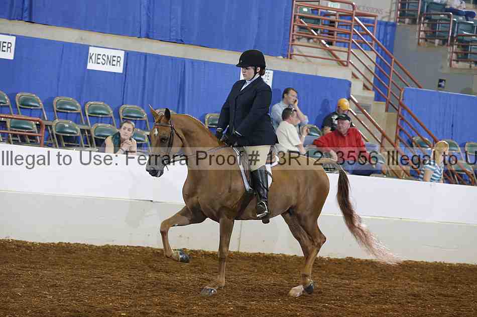 Proof 13r12_3556