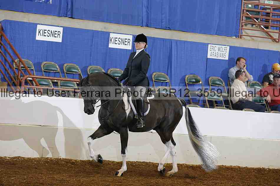 Proof 13r12_3559