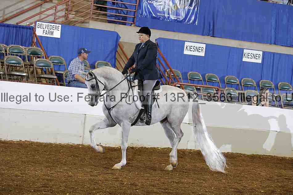 Proof 13r12_3563