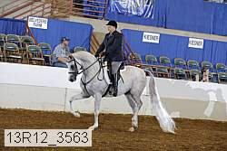 13r12_3563 proof