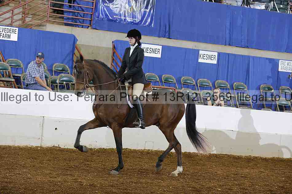 Proof 13r12_3569