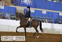 13r12_3569 proof