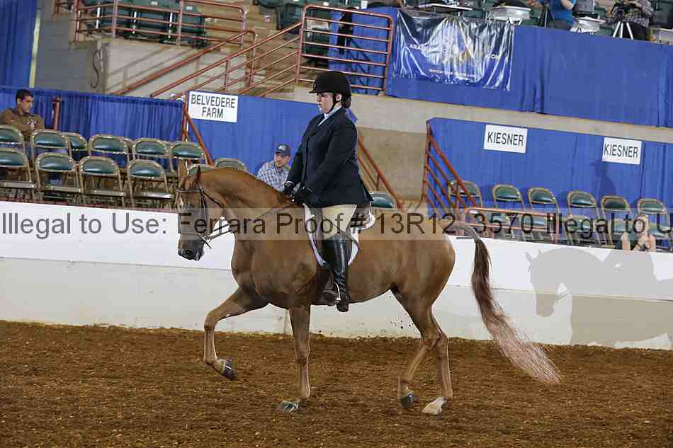Proof 13r12_3570
