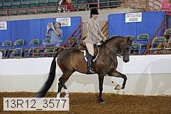 13r12_3577 proof