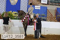 13r12_3581 proof