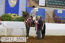 13r12_3582 proof
