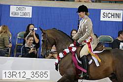 13r12_3585 proof