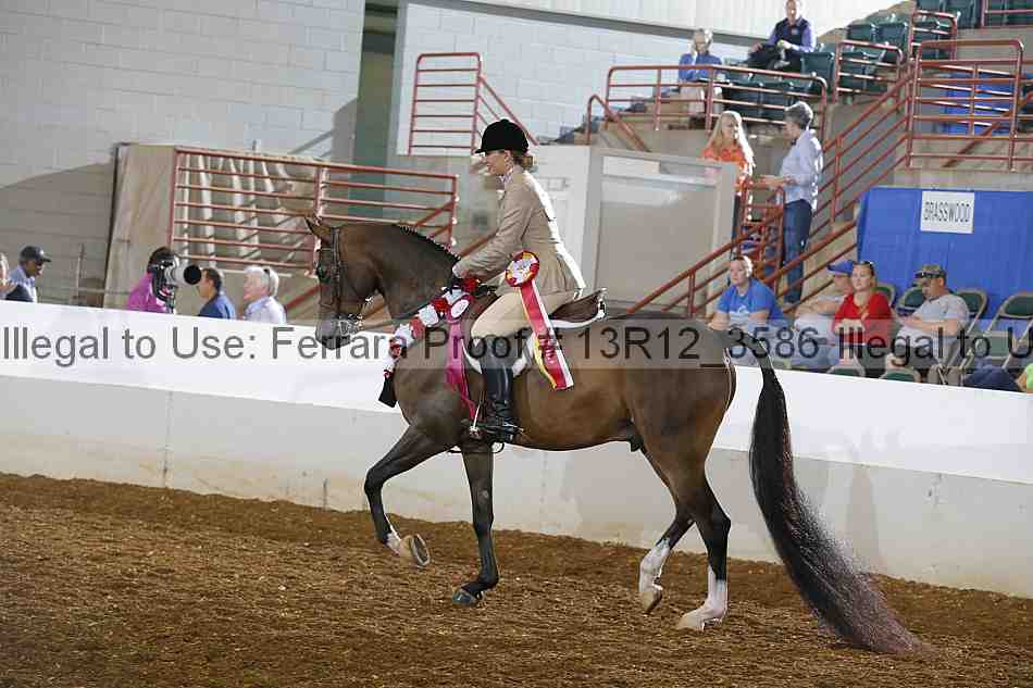 Proof 13r12_3586