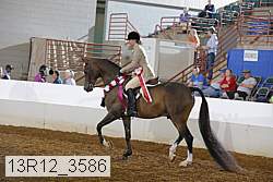 13r12_3586 proof
