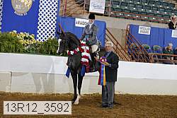 13r12_3592 proof