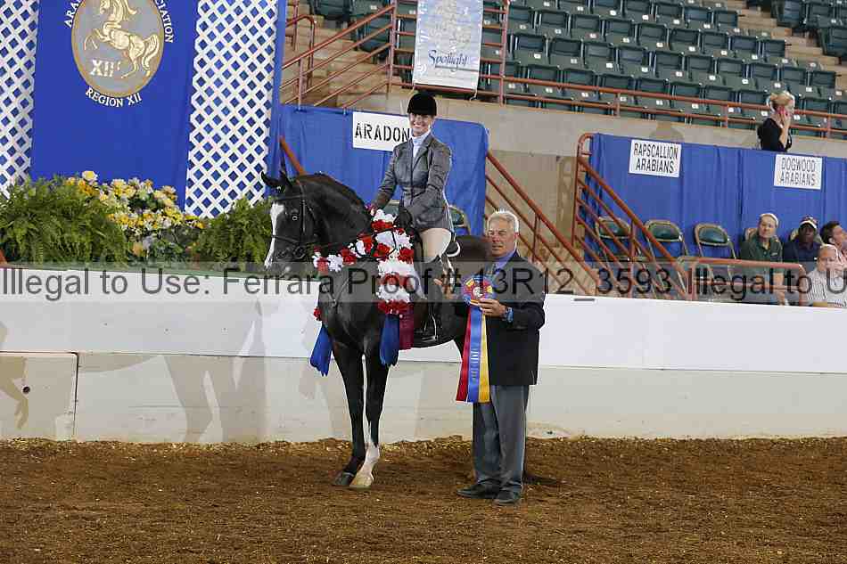 Proof 13r12_3593
