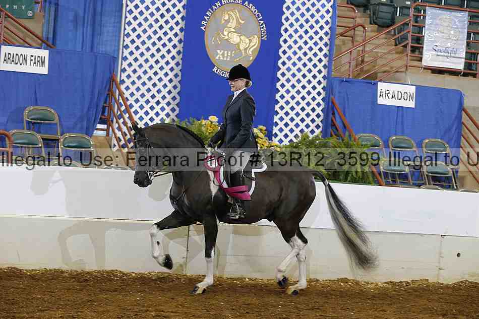 Proof 13r12_3599