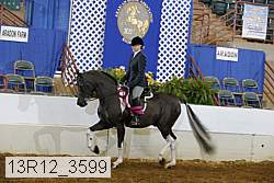 13r12_3599 proof