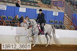 13r12_3601 proof
