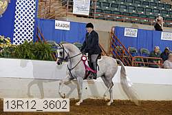 13r12_3602 proof