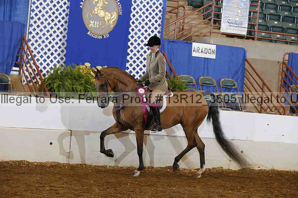 Proof 13r12_3605