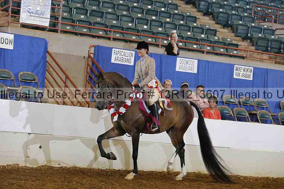 Proof 13r12_3607
