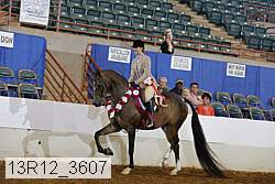 13r12_3607 proof