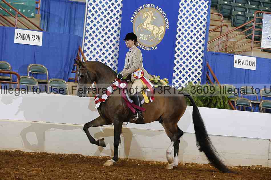 Proof 13r12_3609