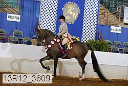 13r12_3609 proof