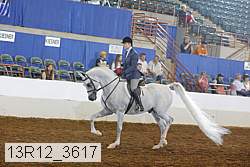 13r12_3617 proof