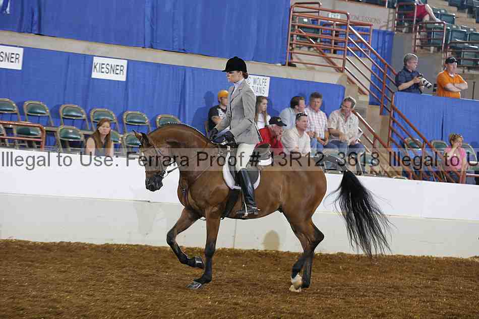 Proof 13r12_3618