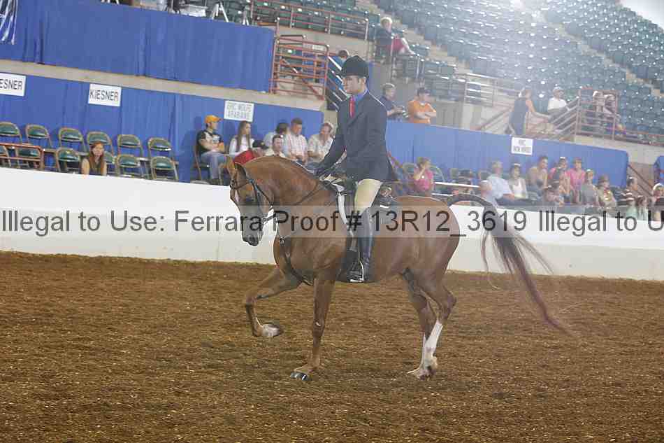 Proof 13r12_3619