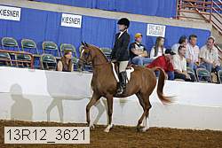 13r12_3621 proof