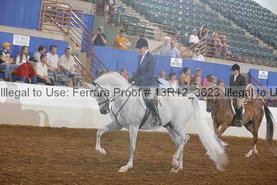 Proof 13r12_3623