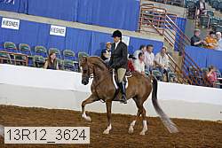 13r12_3624 proof