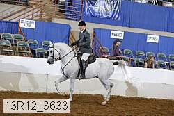 13r12_3633 proof