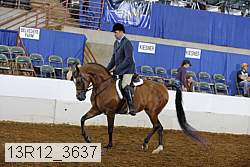 13r12_3637 proof