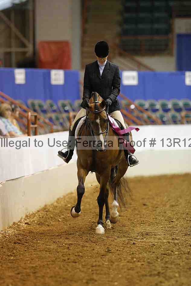 Proof 13r12_3673