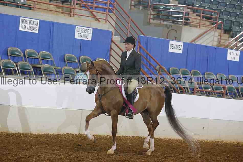 Proof 13r12_3674