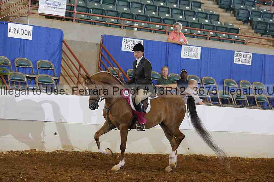Proof 13r12_3675