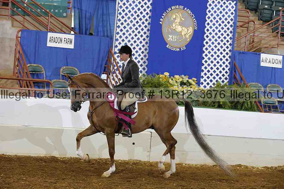 Proof 13r12_3676