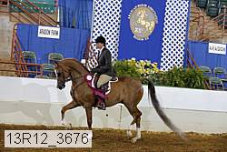 13r12_3676 proof