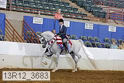 13r12_3683 proof