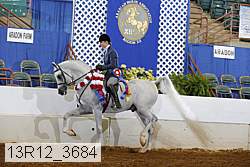 13r12_3684 proof