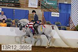 13r12_3685 proof