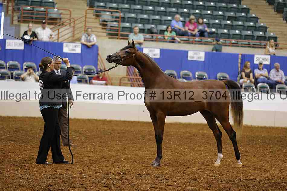 Proof 13r12_3704