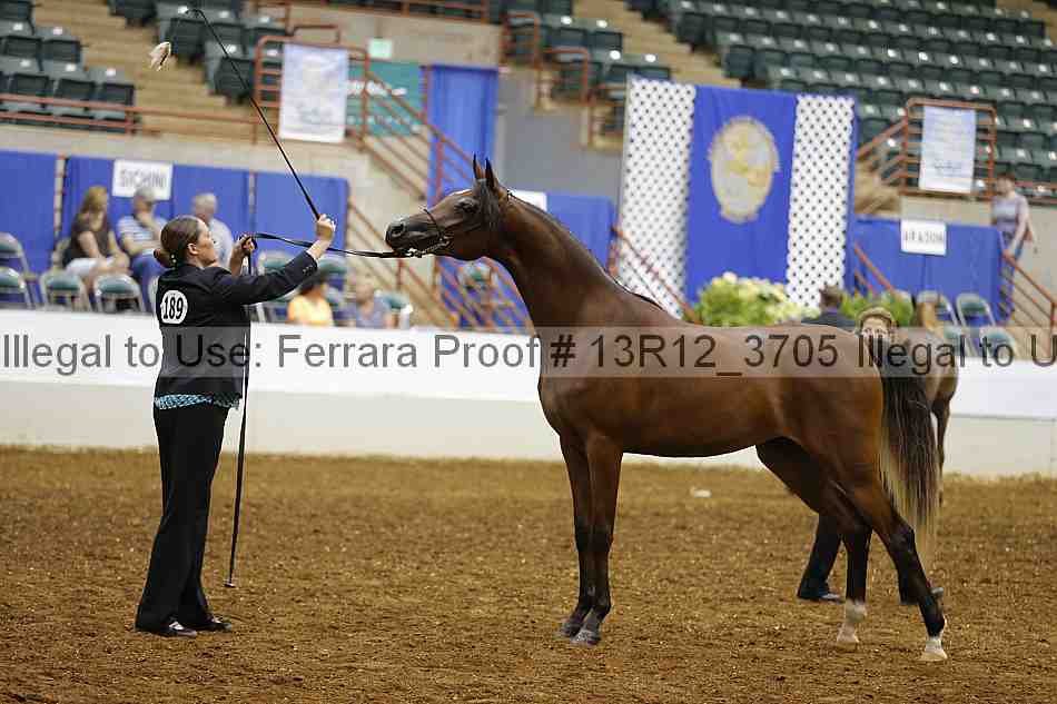 Proof 13r12_3705