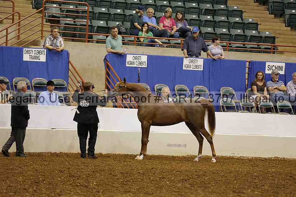 Proof 13r12_3707